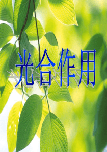 苏教版教学课件高中生物苏教版必修一第4章第2节：《光合作用》课件
