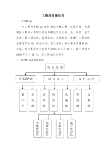 工程项目策划书