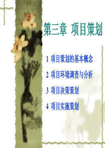 工程项目管理项目策划