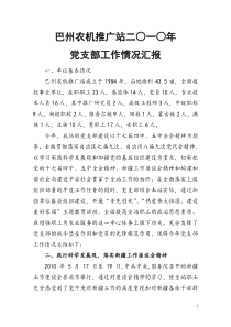 巴州农机推广站XXXX年党支部工作汇报