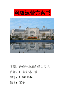 网店运营方案书