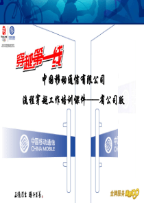 流程穿越省公司培训课件(20080415)[1]