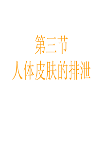 人体皮肤的排泄