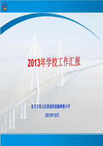 2013年工作汇报