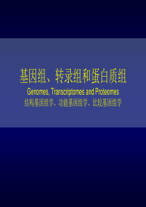 基因组转录组和蛋白组