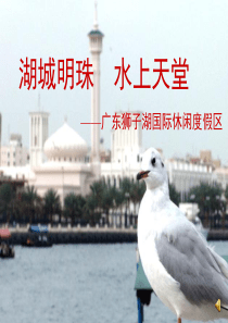 广东狮子湖国际休闲度假区策划全案