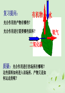 八年级生物 第四章第三节光合作用的场所课件 冀教版
