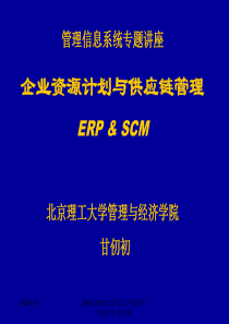 32企业资源计划与供应链管理