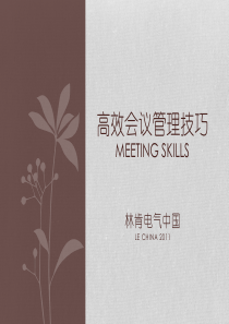 Effective Meeting Skills - 2011.1
