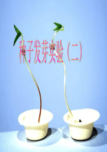 2种子发芽实验二