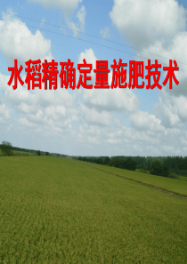 水稻精确定量施氮研究进展
