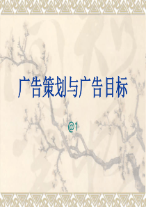 广告策划与创意指导资料