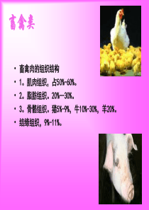 营养配餐员基础知识禽畜类