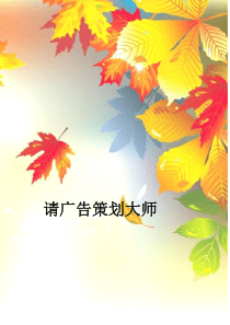 广告策划大师