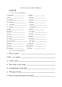 初中名词代词专项练习题