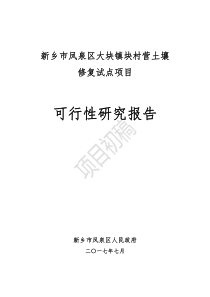土壤修复项目可行性研究报告