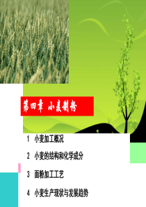 粮油加工课件第四章小麦制粉