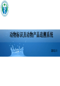 动物标识及动物产品追溯系统培训XXXX1111