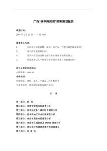 广西“×中商贸城”前期策划报告（DOC 61页）