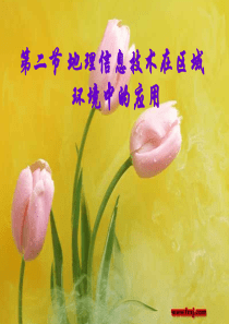 第二节地理信息技术在区域地理环境研究中的应用