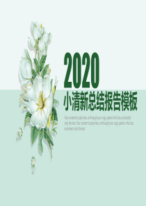 2020工作汇报-年终总结