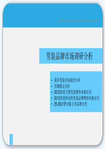 男装品牌市场调研分析