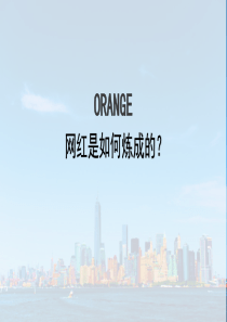 网红是如何炼成的