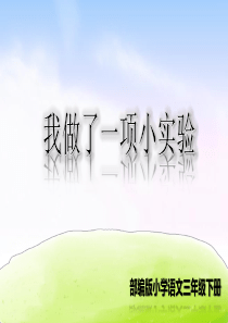 第四单元习作：我做了一项小实验