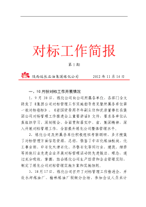 对标工作简报