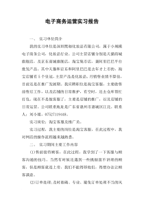 电子商务运营实习报告