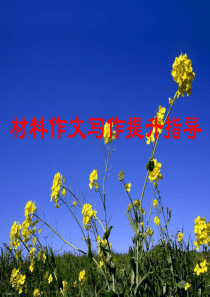 高考语文专题复习课件：材料作文写作提升指导及例文