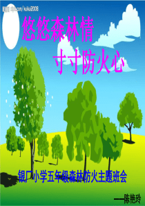 2015年4月―森林防火主题班会