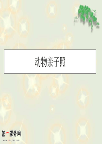 青岛版六年级科学《我从哪里来》PPT课件