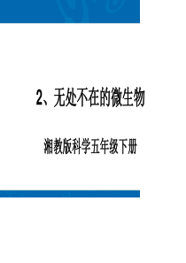2、无处不在的微生物
