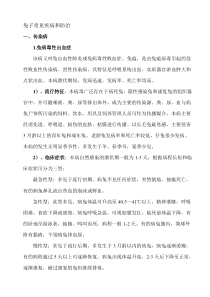 兔子常见疾病预防与治疗