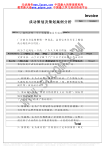 成功策划及策划案例分析