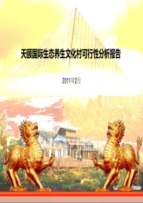 成都天颐国际生态文化村项目定位策划及可行性研究报告