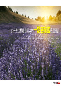 江苏-南京开发区桦墅美丽乡村规划方案(东联)