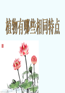 07植物有哪些共同特点