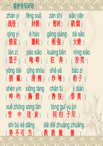 人教版五年级语文下册第四单元复习