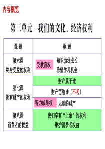 我们的文化、经济权利复习课