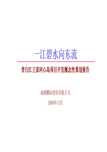 成都青白江王家河心岛项目开发概念性策划报告_88PPT_XXXX