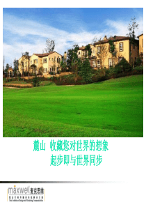 成都麓山国际社区案场活动策划_41PPT