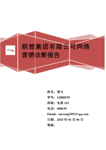 联想集团网络营销综合诊断报告