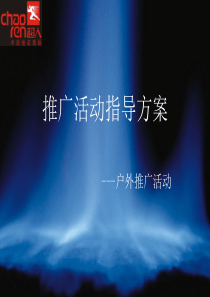 户外推广活动指导方案（PPT30页)