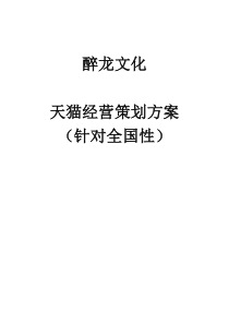 天猫经营策划方案(针对全国性、成本较高)