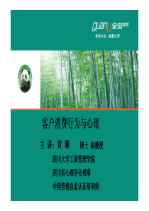 客户消费行为与心理