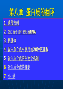 翻译―从mRNA到蛋白质