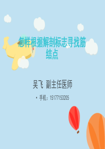 怎样根据解剖标志寻找筋结点