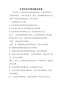 中考化学专题试题及答案